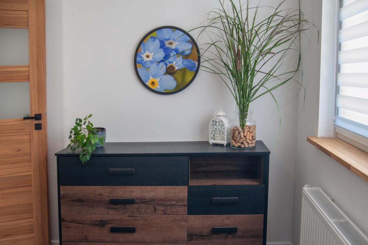 Apartmán Apartament Niezapominajka Warmbrunn Exteriér fotografie